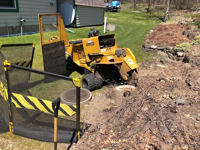 Stump Grinding in Caledonia