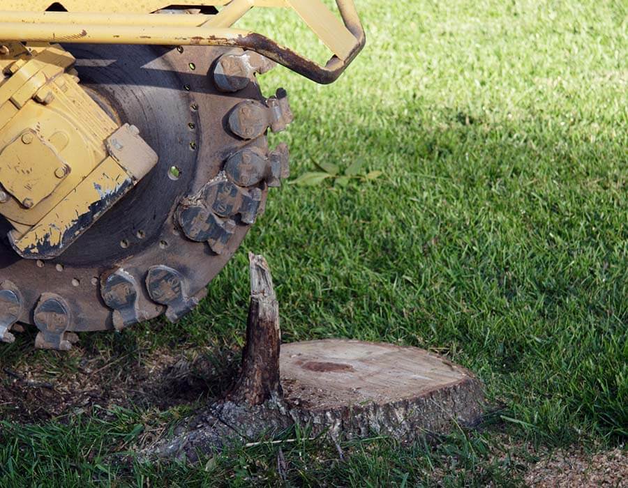 Stump Grinding for Waukesha & Milwaukee Businesses