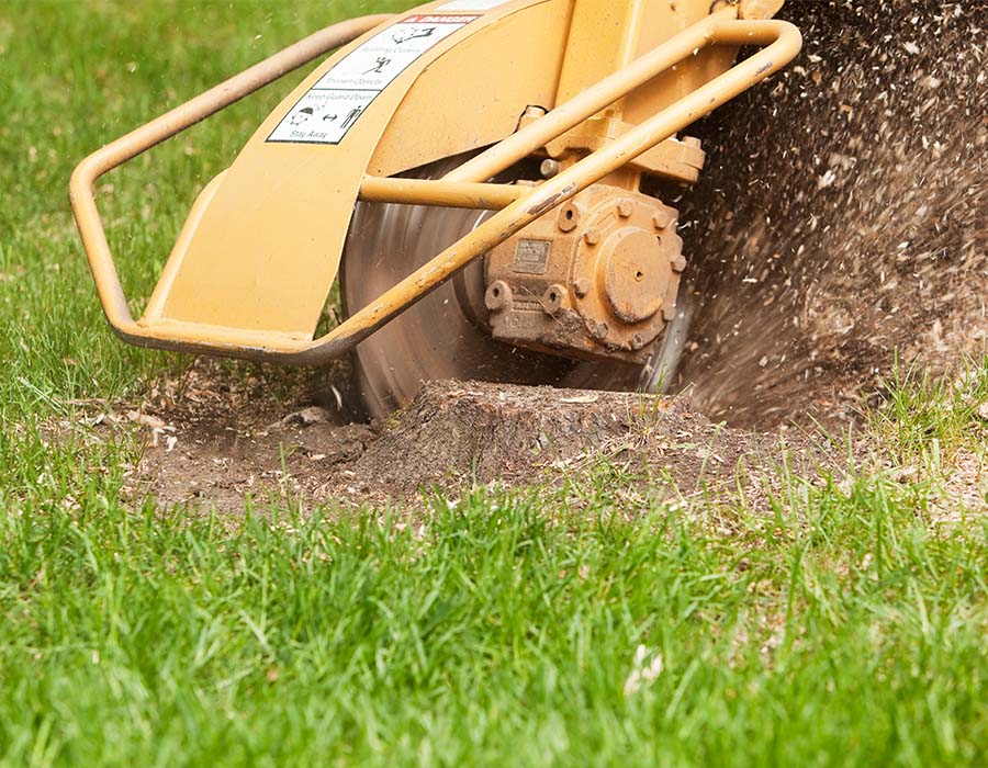 Stump Grinding Company in Franklin