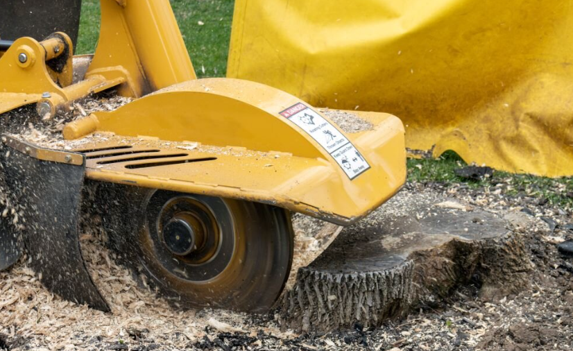 Stump Grinding Company in New Berlin