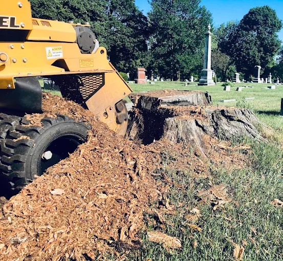 Stump Grinding in Port Washington