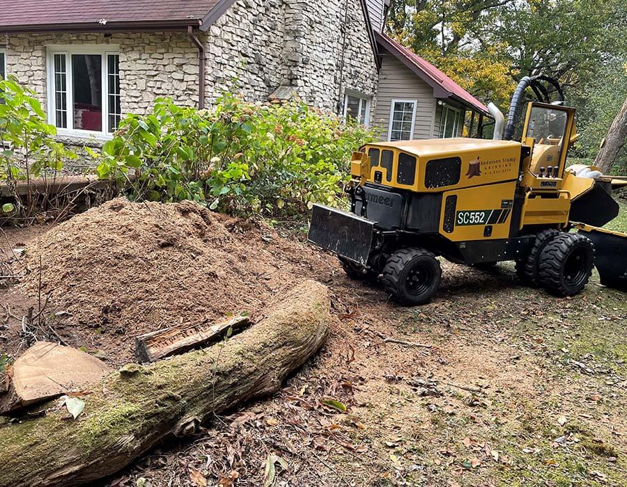 Residential Stump Grinding Near Waukesha & Milwaukee