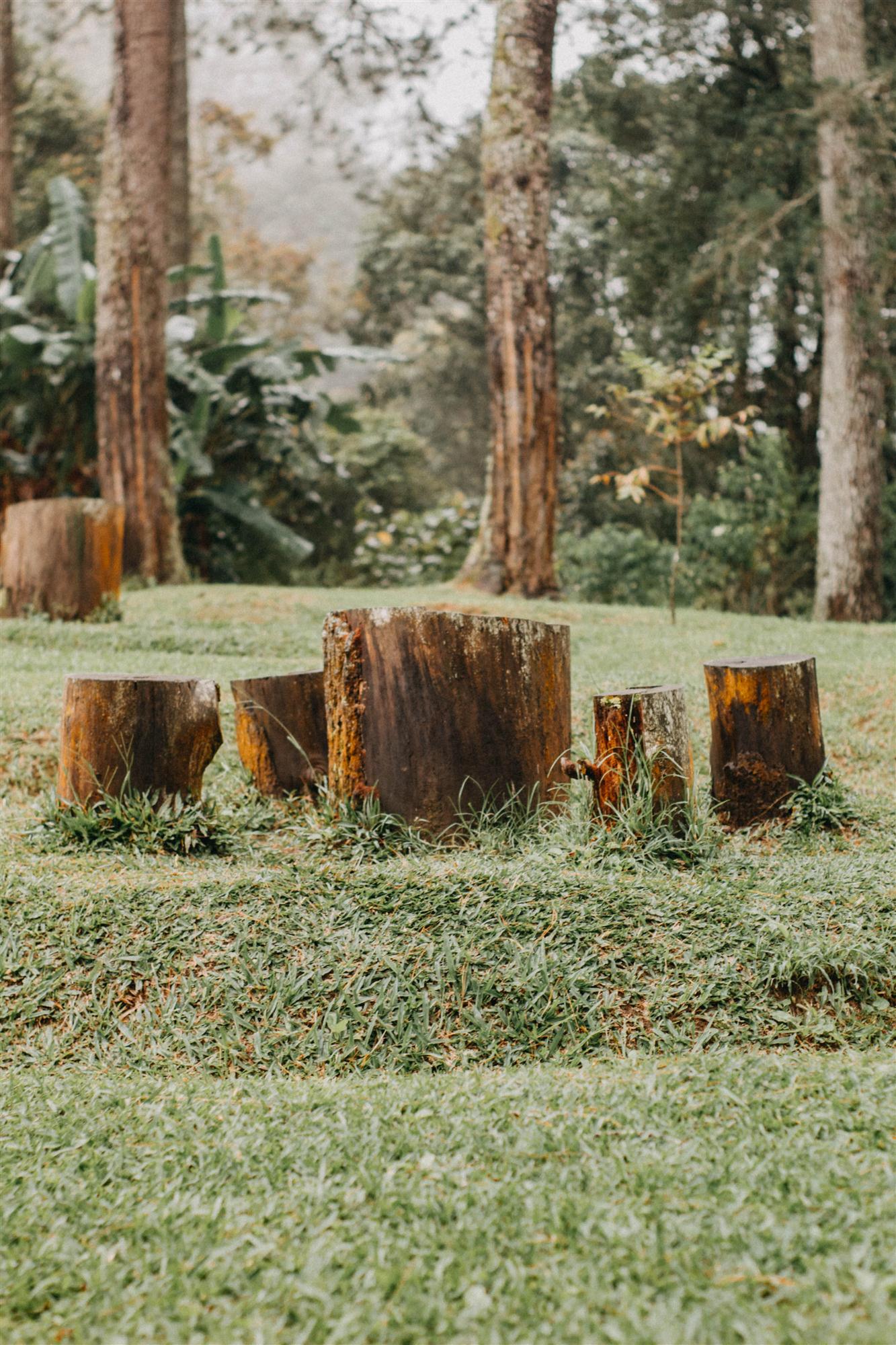 Washington County Stump Grinding & Land Restoration