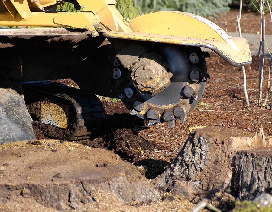 Brookfield stump grinding services