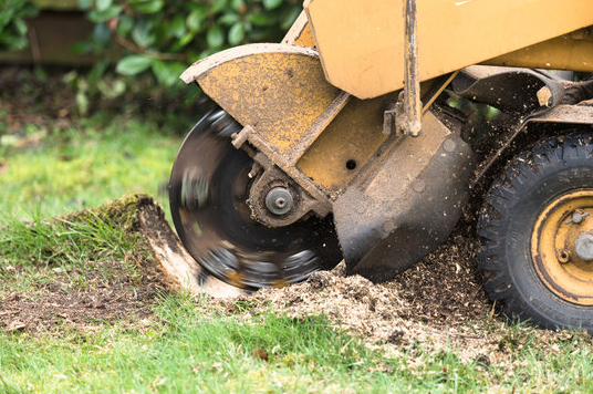 Stump Grinding Company in West Allis