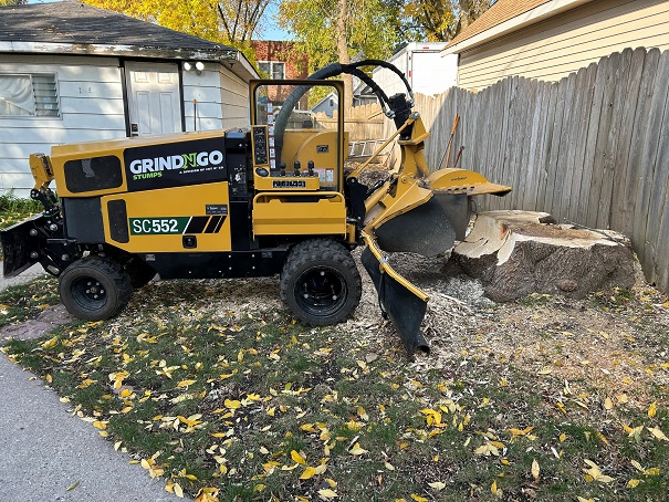 Fall Tree Stump Removal Clean Yard Service