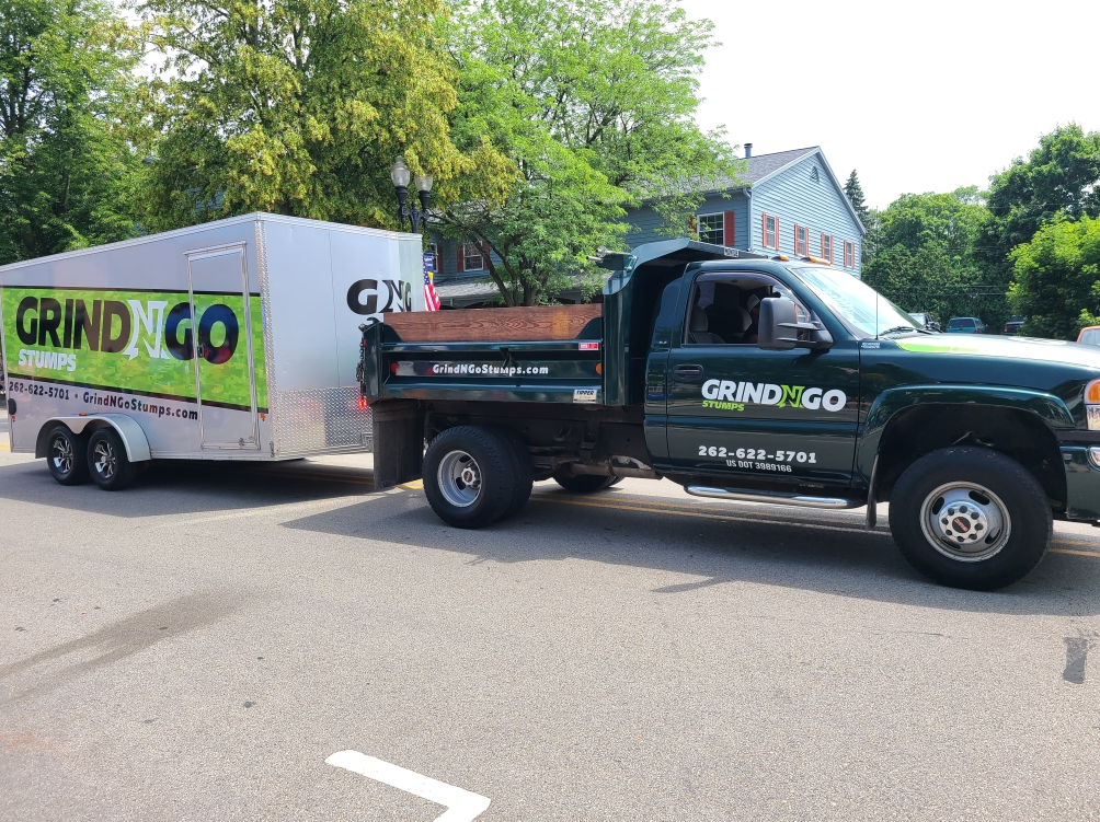 Residential Stump Grinding Near Waukesha & Milwaukee