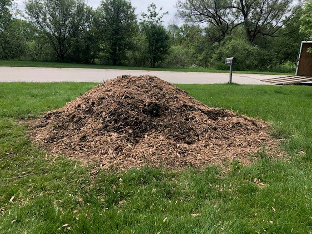 Stump grinding in Delafield