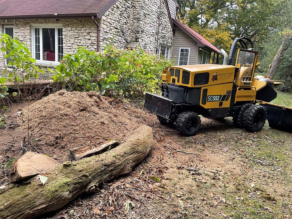 Stump Grinding with Cleanup Services