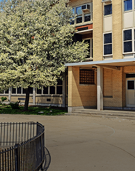 Stump grinding for public school grounds & playgrounds