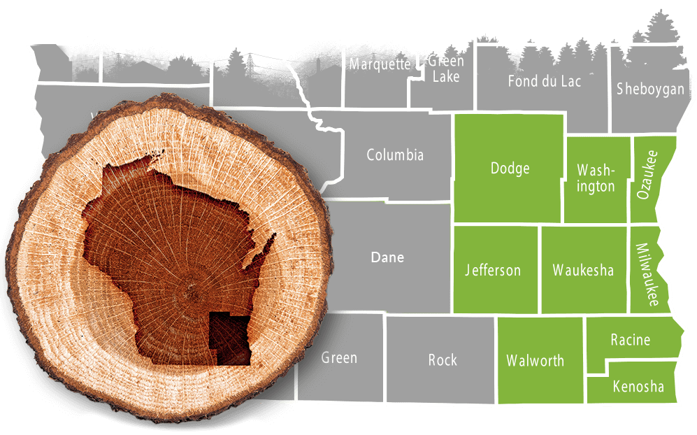 Stump Grinding Service Area - Southeast WI