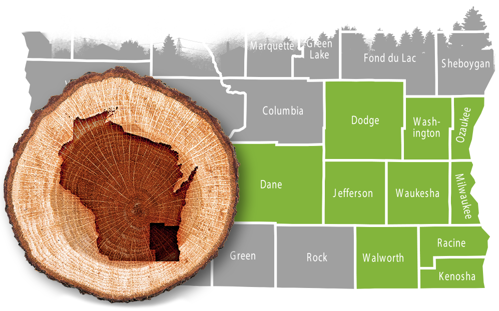 Stump Grinding Service Area - Southeast WI