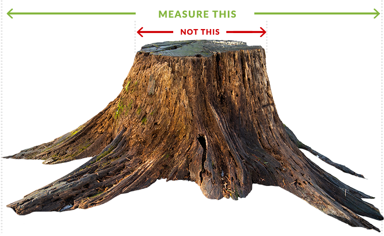 How to measure a stump for stump grinding